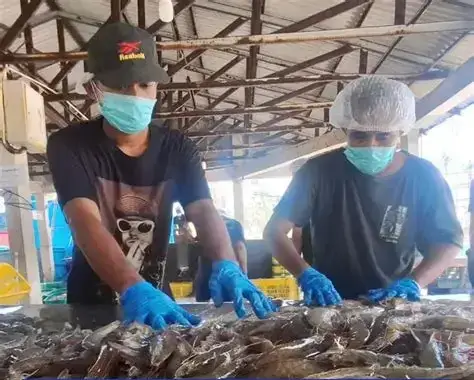 Dokumentasi kegiatan PT. Dongsheng Keji Indonesia - foto 4
